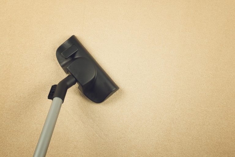 Carpet Cleaning Service, How To Get Wax Out Of Carpet, Dover, DE