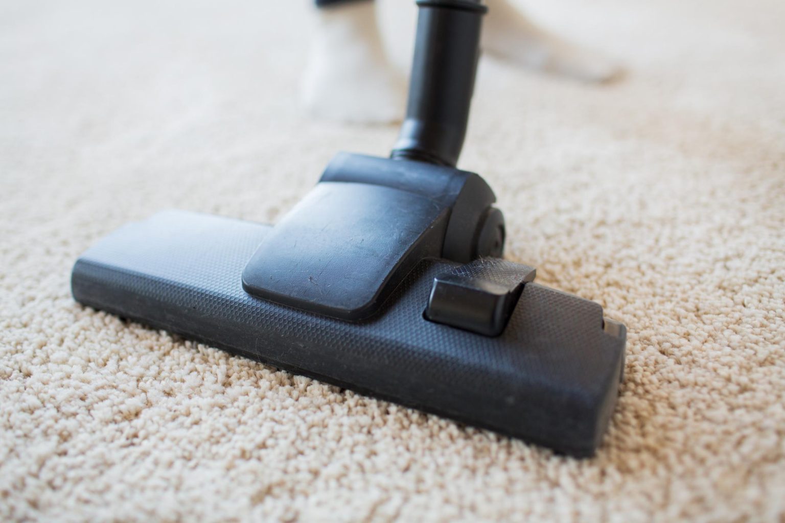 Carpet Cleaning, Dry Cleaners, Best Carpet Shampooer, Dover, DE